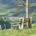 Natur pur in nächster Nähe Natur pur in nächster Nähe