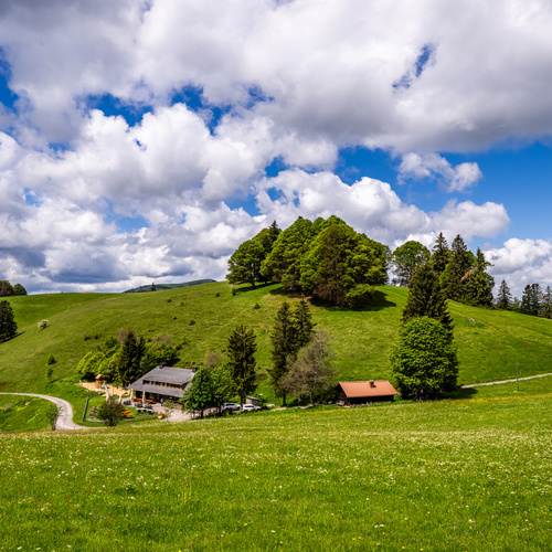 Das Almgasthaus Knöpflesbrunnen umgeben von grünen Sommerweiden  - 