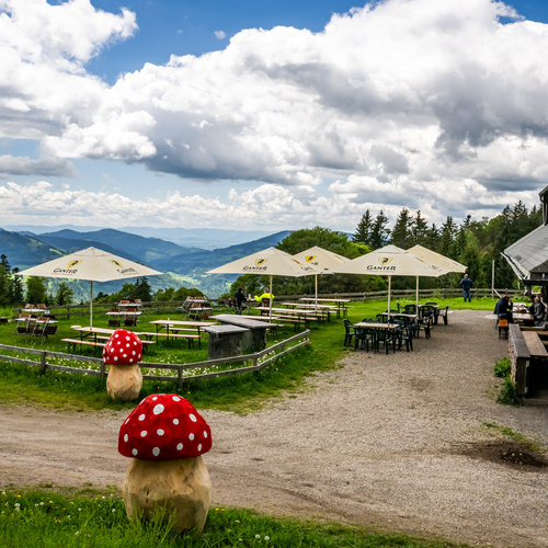Terrasse des Almgasthauses - 