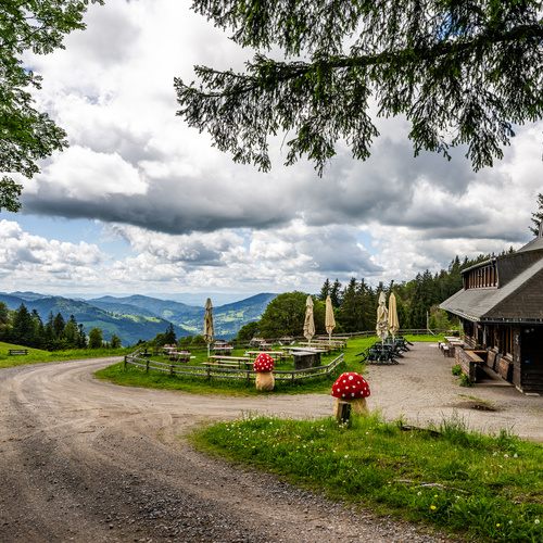 Wanderweg zum Knöpflesbrunnen - 