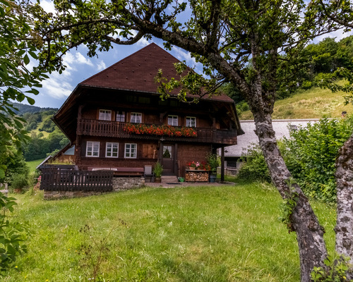 Schwarzwaldhaus Bhlhof